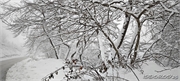 snow_22