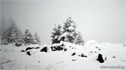 snow_23