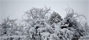 snow_5