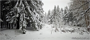 snow_7