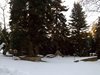 DSCF5968