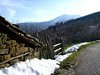 DSCF5950