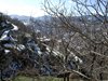 DSCF5978