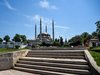 AKI_3921