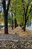 Bucharest (19)