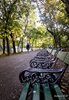 Bucharest (66)