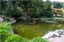 DSCF0077