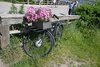 Finland28