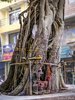 _ADO5736