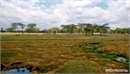DSCF0898