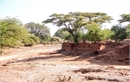 DSCF1255