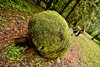 lAKI_8367