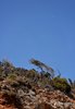 amorgos0019