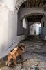 amorgos0011