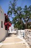 amorgos0026