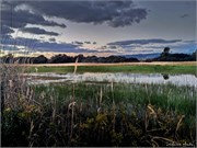 IMG_20220120_175712