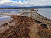 IMG_20220121_134012
