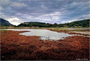 IMG_20220121_134316
