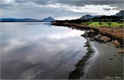 IMG_20220121_134644
