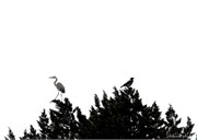 _DSF3757