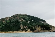 _DSF3786