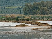 _DSF3853