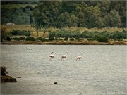 _DSF3884.bJPG