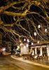 DSC09240