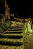 DSC09325