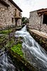 AKI_5000